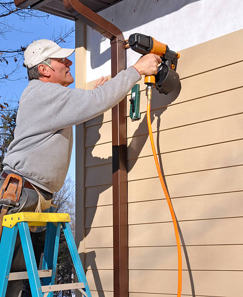 Best Insulated Siding Installation  in Warson Woods, MO